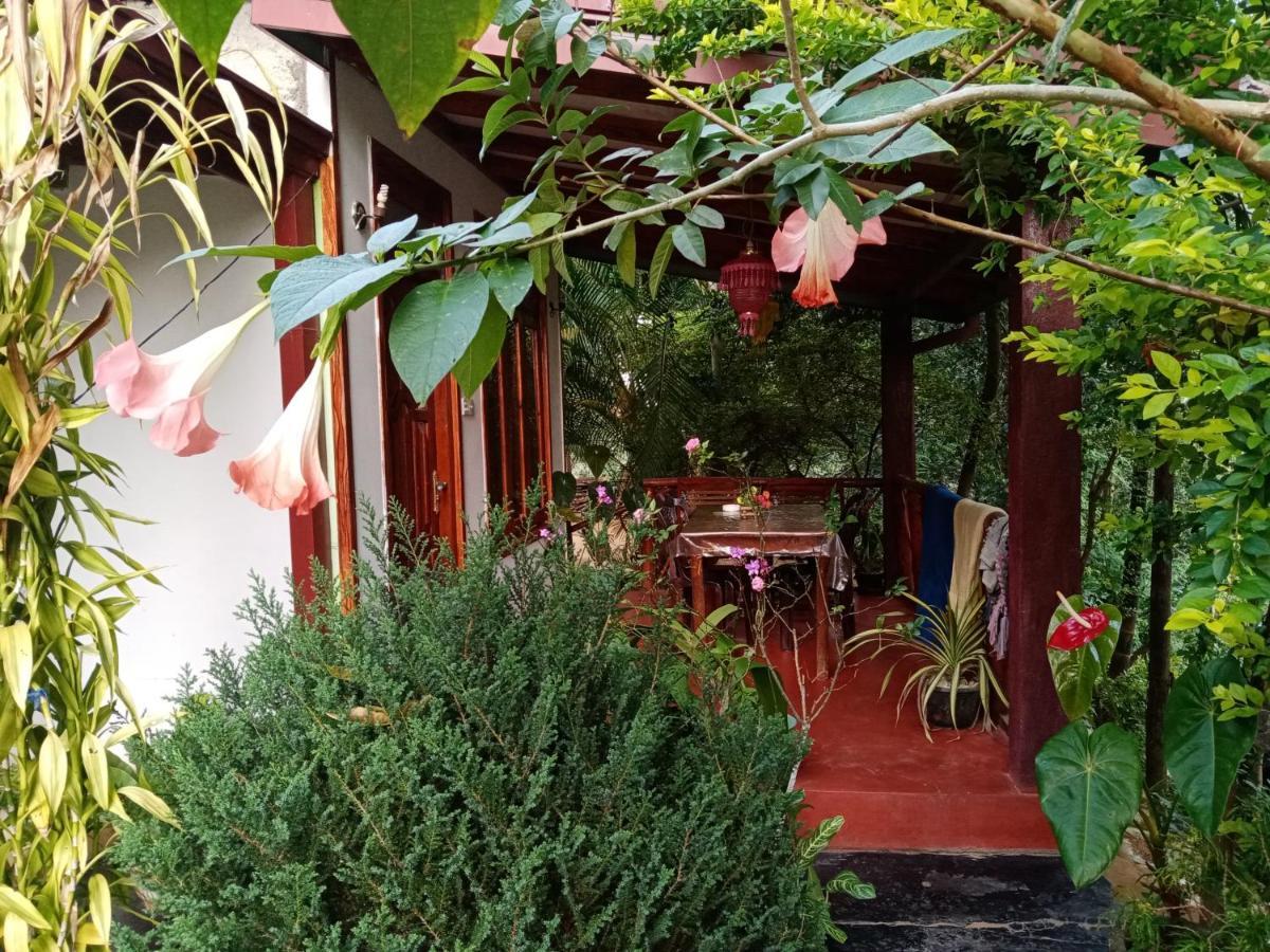 Littleadems View Bed & Breakfast เอลลา ภายนอก รูปภาพ